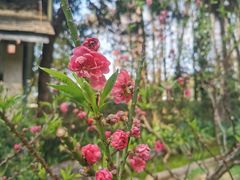 -桃花涧