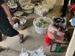 -马陆小张葡萄园农家乐