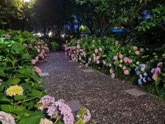 -常州古运河南大街文化旅游区-人民公园