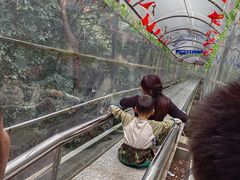 -浏阳石牛寨风景区