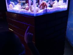 -太平洋海底世界