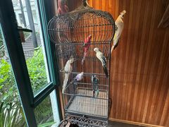 -申粤轩酒楼·三十年粤菜经典(丁香花园店)