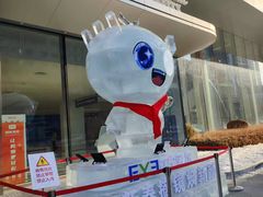 -东北大学附属辽宁爱尔眼科医院