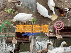 -运动派(北京店)