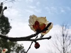 -杭州六谷生态休闲农庄有限公司