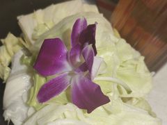 -蛙佬哥美蛙鱼火锅(新一中店)