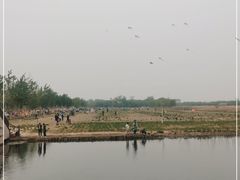 -天津武清北运河郊野公园房车露营地