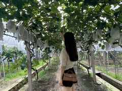 -美家乐农庄·露营·团建(大治路店)