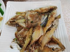 煎杂鱼-贝岭居酒楼(黄贝路店)