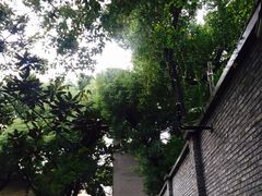 -上海孙中山故居纪念馆