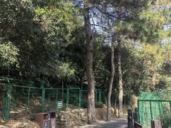 -树山生态村
