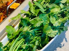 -海底捞火锅(老城根店)