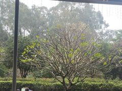 -南宁荔园维景国际酒店·荔园中餐厅