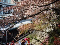 -南浦大桥长途旅游客运站