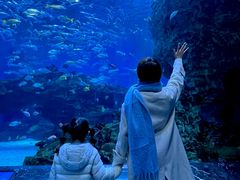 -海合安成都极地海洋公园