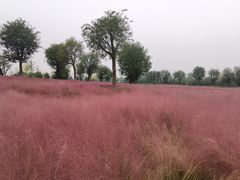 -汉长安城未央宫国家考古遗址公园