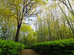 -天目湖涵田度假村