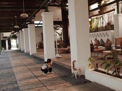 -喜洲吧·江畔老船厂·庭院餐厅(喜临院店)