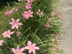 -南岳衡山风景名胜区-南岳大庙