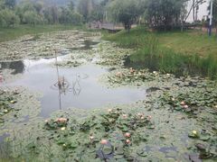 -清溪水库