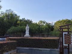 -苏家围·东江画廊旅游景区
