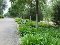 -永定河休闲森林公园