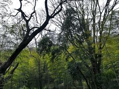 -采石矶景区