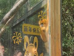 -海南热带野生动植物园