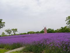 -同里国家湿地公园