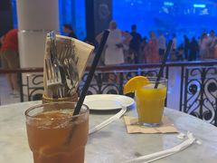 -迪拜水族馆及水下动物园