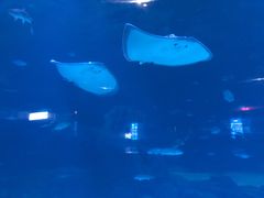 -福州罗源湾海洋世界旅游区