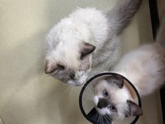 -中田健身工作室(中针商务店)