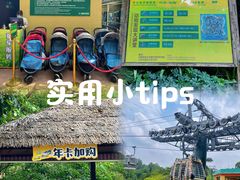 -广州长隆野生动物世界