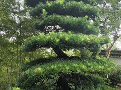 -南山植物园