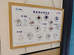 -瑞派康怡24h宠物医院·犬猫医疗中心·微创绝育(瑞景分院)