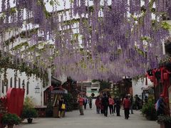 -婺源梦里老家大型山水实景演出