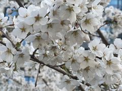 -山东省千佛山医院