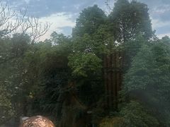 -恬阿姨庭院餐厅·生日宴