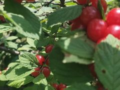 -庆岭迎宾园正宗活鱼馆