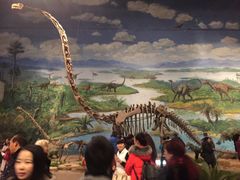 -自贡恐龙博物馆