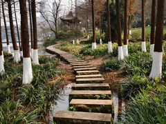 -重庆彩云湖湿地公园