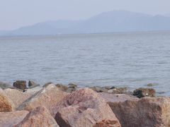 -深圳湾公园(南山区)