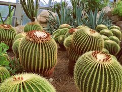 -北京植物园-展览温室