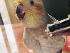 -三品王(万象城店)