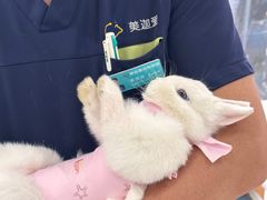-美迦爱-牙专科·兔科·骨科诊疗中心(北苑店)