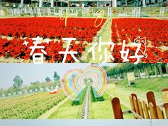 -盈香心动乐园