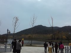 -千年银杏谷文化旅游区