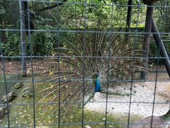 -金钉子远古世界景区