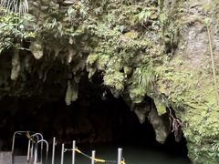 -怀托摩萤火虫洞