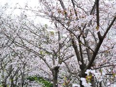 -江南大学(蠡湖校区)